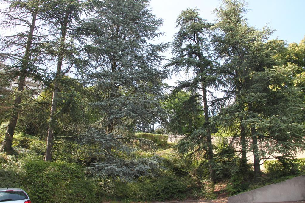 Les Hauts De Perrache Bed & Breakfast Sainte-Foy-lès-Lyon Exterior foto